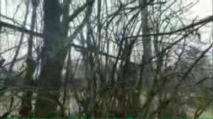 ЛИСТЬЯ ПАДАЮТ. ВЛАДИМИР КОРОВЯНСКИЙ.69. АВТОРСКАЯ. mp4