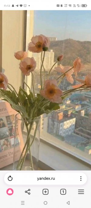 всем привет