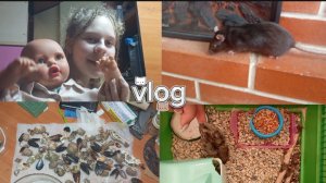 Влог/шопинг с Черри🐀, Лапулей🐹, реиьорном Вовой 🤱