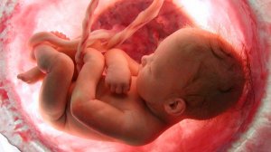 Абортированные дети. Атаки похоти