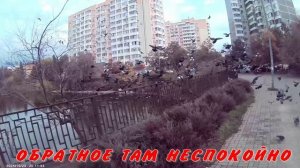 СВЕТА ПОСТУПАЕТ В ТЕАТРАЛЬНОЕ УЧИЛИЩЕ