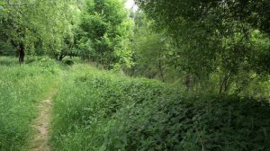 Телепроект "Ландшафтные решения", телеканал "Усадьба", год выпуска: 2025 LAMEDIA SPACE