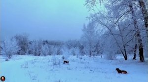 Я за тобой наблюдаю. Страшные. Мистические. Творческие истории. Хоррор