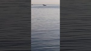 Морской улов,купаемся ,8 ноября