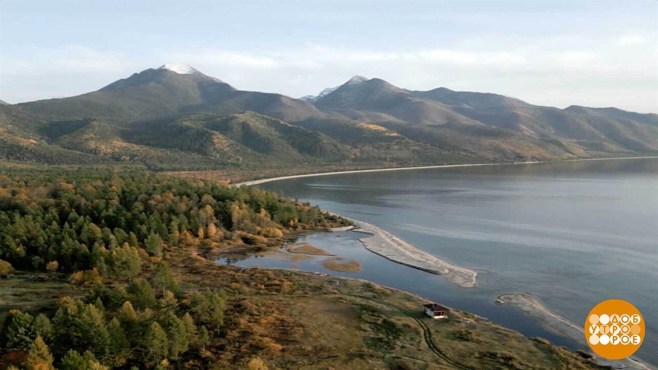 Сибирь, я люблю тебя! Доброе утро. Суббота. Фрагмент выпуска от 08.11.2025