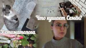 VLOG Что кушает Семён?🍝 У стоматолога🦷