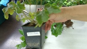 мои новинки.