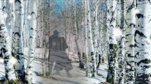 Надежда Кадышева - Снег летит