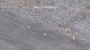 Бегство ВСУ из села Успеновки.