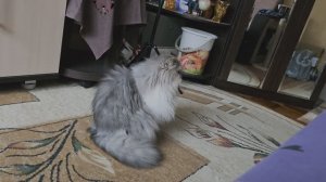 Поздно встал.Позавтракал или пообедал?