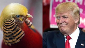 Куда идет российский фондовый рынок?