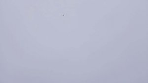 У Лёхи цыгана.+79493909825