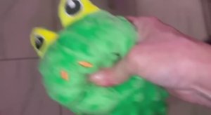 Подарок от подписчиков, первый получил Буся.