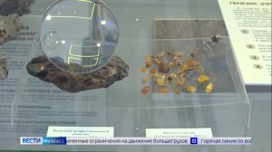 В Кузбассе обнаружили уникальный янтарь возрастом более 100 млн лет