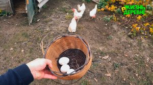 Плету корзины из ротанга