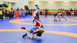 IV Всероссийские соревнования по греко-римской борьбе состоялись в Мытищах