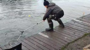 Поимка до запуска.Основной водоём