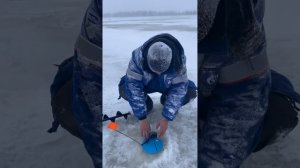 Очередной выезд на ловлю щуки жерлицами!