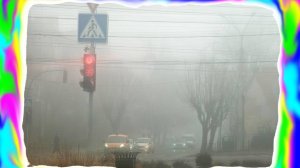 ЧЕРНІВЦІ  В  ТУМАНІ