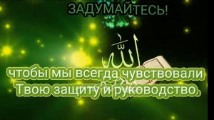 Коран — это поистине бесценный дар от Всевышнего Аллаха, который многие из нас ещё не успели оценить