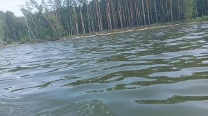 У, нас Зима, холодно. Хочется Лето. Архивное видео мы на речке