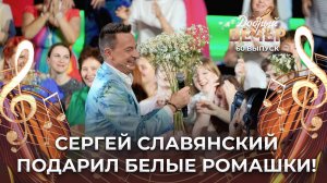 Сергей Славянский | Белые ромашки. ДОБРЫЙ ВЕЧЕР!