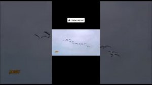 А годы летят 🚀... 😏