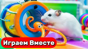 ВИДЕО ПРО ХОМЯКА ДЛЯ ДЕТЕЙ 🐹 УМНЫЙ ХОМЯК ВЫБИРАЕТСЯ ИЗ ЛАБИРИНТА С ЛОВУШКАМИ И МОНСТРАМИ
