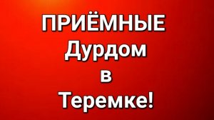 Приёмные/Обзор.