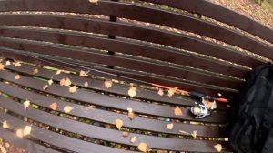 НОЯБРЬСКИЙ ХАРДКОР: Ловля щуки и окуня в не погоду  | Пруды у монастыря