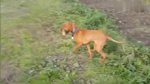 Смех до слёз.