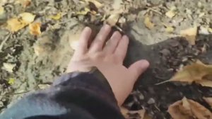 VLOG  на разведку за подземными😆 грибами,замариновала.У сыночка началась практика-держись картошка