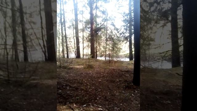 VID_20240410_152100 смотреть онлайн