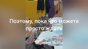 Почему seveny306 не выпускает видео?