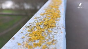 Жители Воскресенска обеспокоены состоянием пешеходного моста