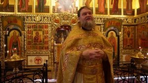 Отец Димитрий Лин_ПРОПОВЕДЬ_Евангелие дня_08.11.2025