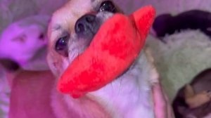 Доброго воскресного утречка и чудесного выходного.