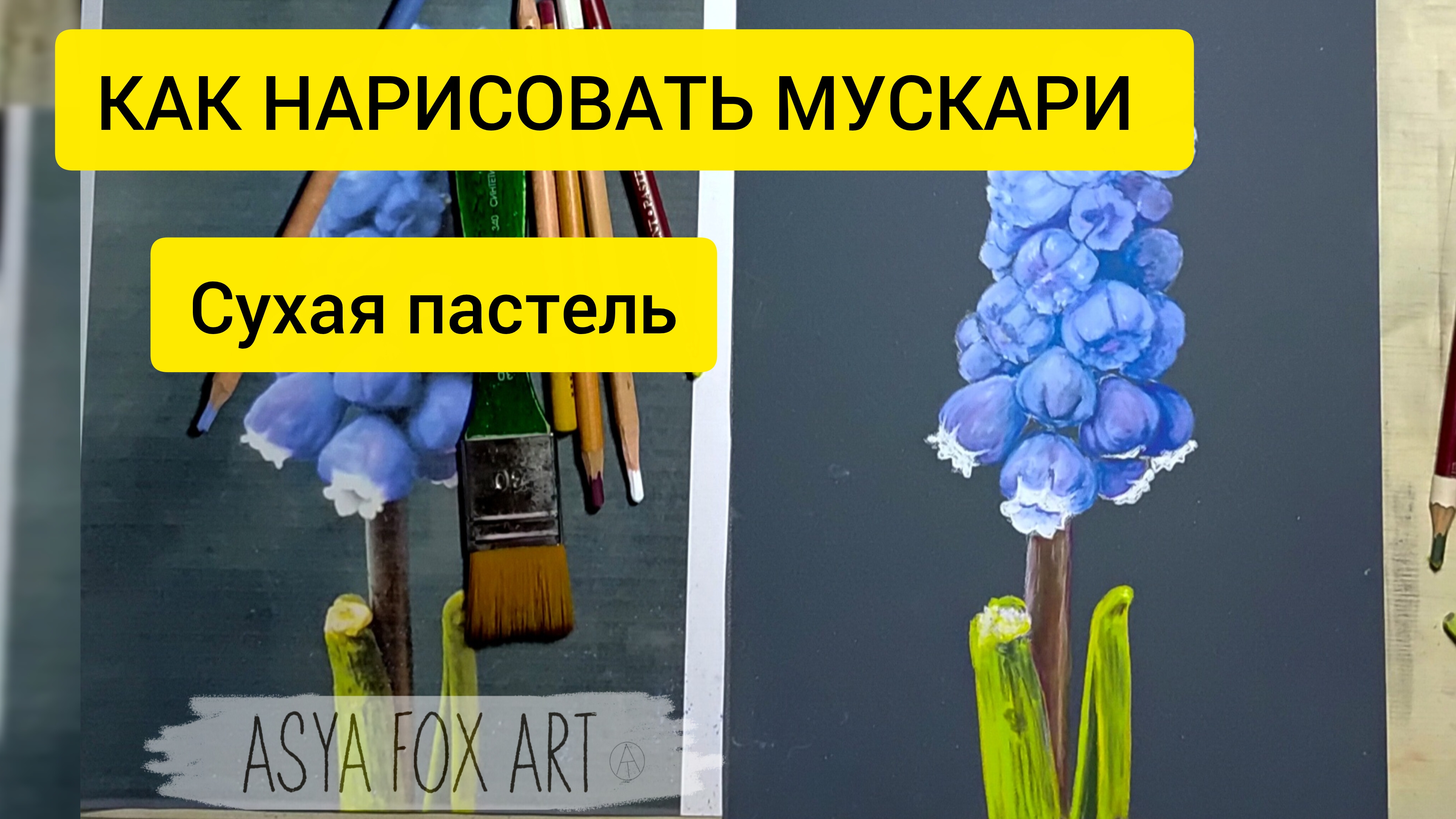 КАК НАРИСОВАТЬ МУСКАРИ СУХОЙ ПАСТЕЛЬЮ |ASYAFOXART