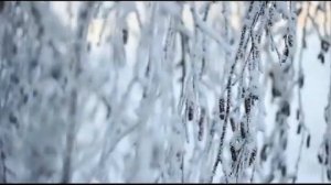 Сибирская зима_Зимние пейзажи рут