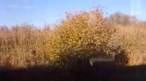 UCIECZKA Z KL UKROPOLIN -Ćwiczenia (cz.1)