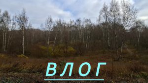 Влог: погулял по парку, о минусах 2025 года