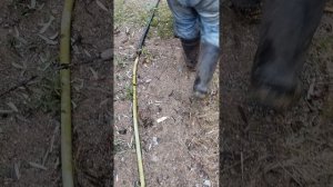 Зеленая дача: Карельский фитнес: дрова как стратегия выживания.