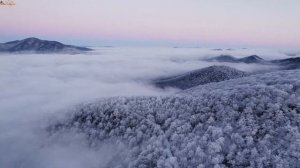 Mr Salama & Modern Disco Boys & DNDM & - Best Deep House Mix 2025 | Retro Mix, Dance Songs, Relax !