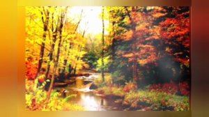 альбом,, Осенний 🍂 лист,,  ,, Не грусти,,