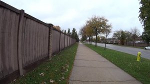 Канадский калейдоскоп. 07.11.25. Алкоголь, страусы, Принц Гарри, канадская пресса войну на Украине.