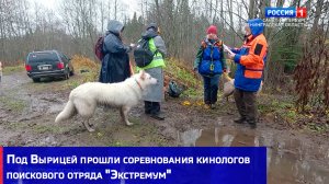 Под Вырицей прошли соревнования кинологов поискового отряда "Экстремум"