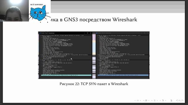 СТ | Лабораторная работа №5 |Защита смотреть онлайн