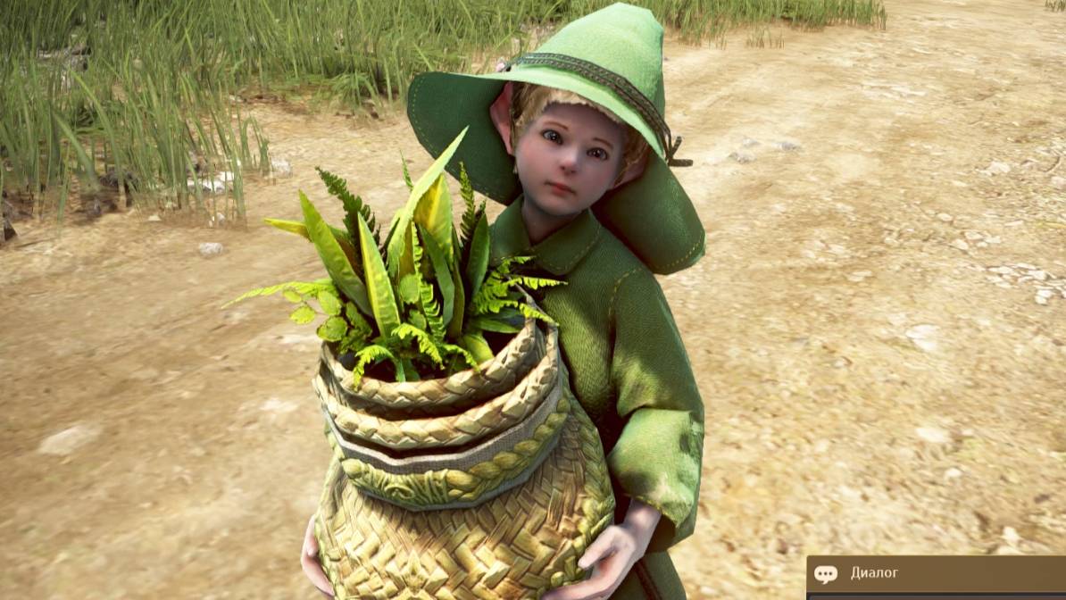 Сообщить о происшествии. Black Desert. Жизнь - игра.