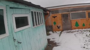 Домашние дела. Распаковка. Осенняя прогулка по... Живем в деревне