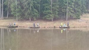 Forest Fishing 08.11.25